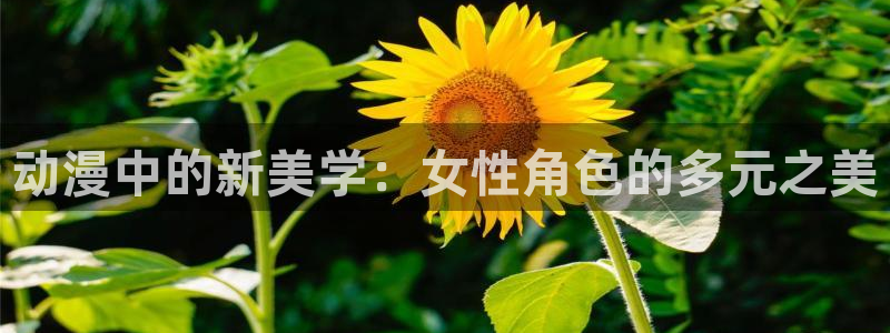 内地动漫天堂：动漫中的新美学：女性角色的多元之美