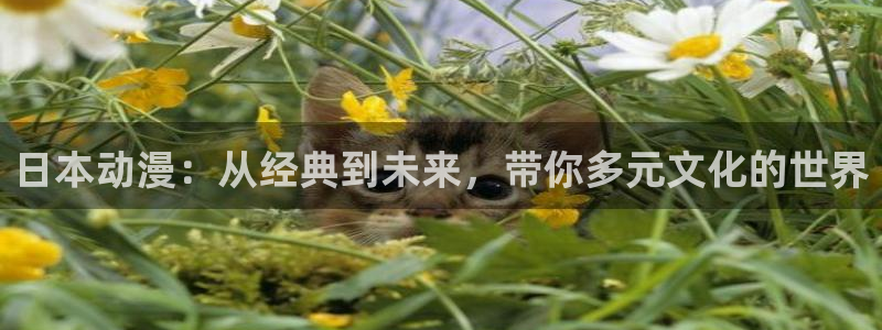 同人动漫天堂：日本动漫：从经典到未来，带你多元文化的世界