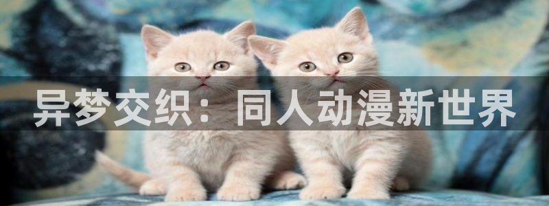 樱花动漫天堂：异梦交织：同人动漫新世界
