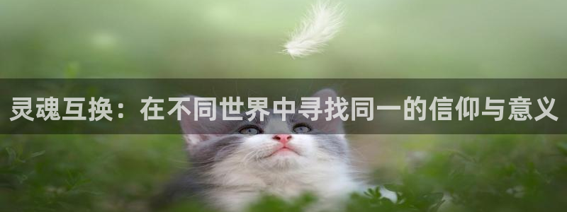 亚洲动漫天堂在线：灵魂互换：在不同世界中寻找同一的信仰与意义
