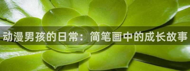 动漫天堂之吻：动漫男孩的日常：简笔画中的成长故事