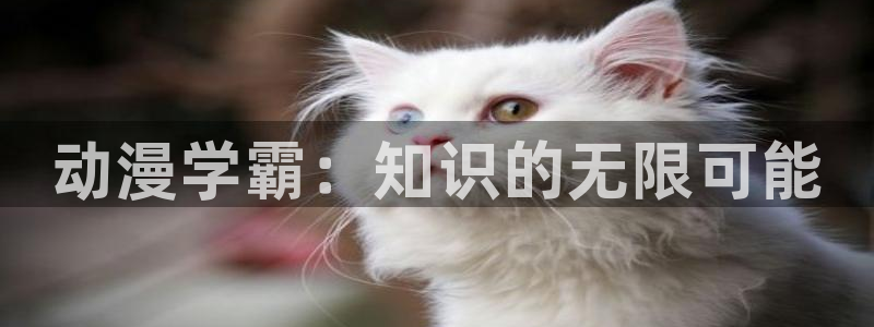 动漫天堂岛：动漫学霸：知识的无限可能