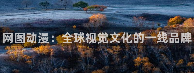 动漫天堂免费版：网图动漫：全球视觉文化的一线品牌