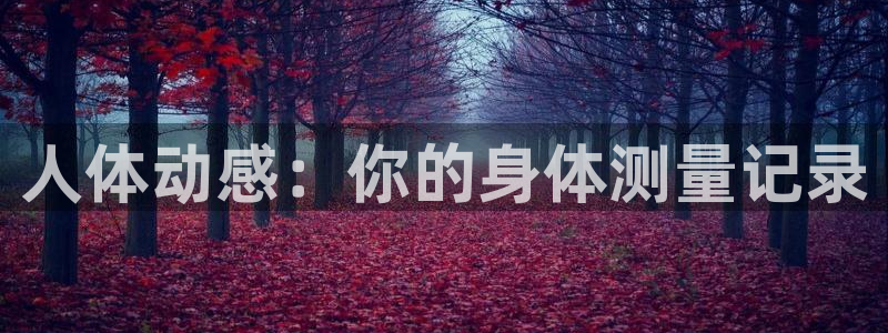 动漫天堂在线免费观看：人体动感：你的身体测量记录