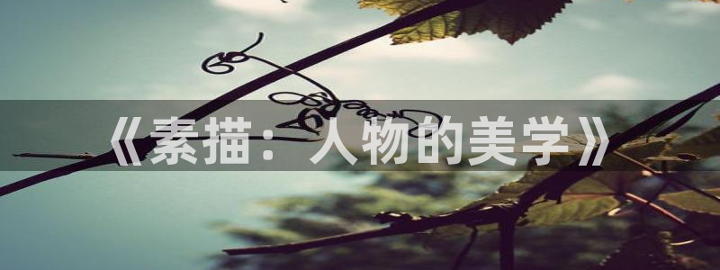 动漫天堂免费版：《素描：人物的美学》