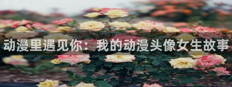 coco动漫天堂：动漫里遇见你：我的动漫头像女生故事
