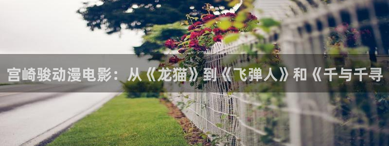 jm动漫天堂：宫崎骏动漫电影：从《龙猫》到《飞弹人》和《千与千寻