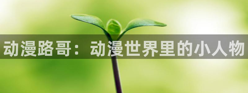 动漫天堂免费：动漫路哥：动漫世界里的小人物