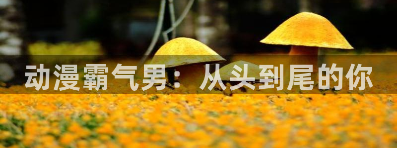 成人动漫天堂网：动漫霸气男：从头到尾的你