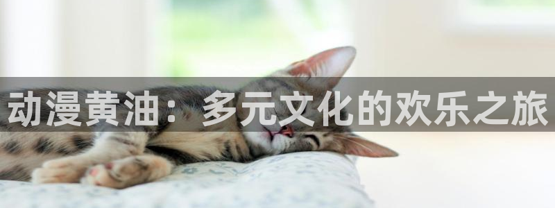 18动漫天堂：动漫黄油：多元文化的欢乐之旅