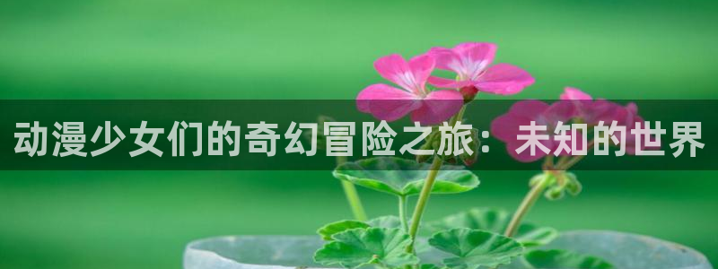 动漫天堂免费：动漫少女们的奇幻冒险之旅：未知的世界