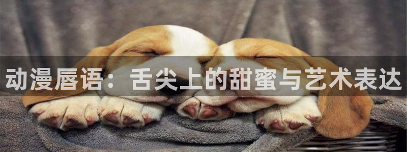 动漫天堂网：动漫唇语：舌尖上的甜蜜与艺术表达