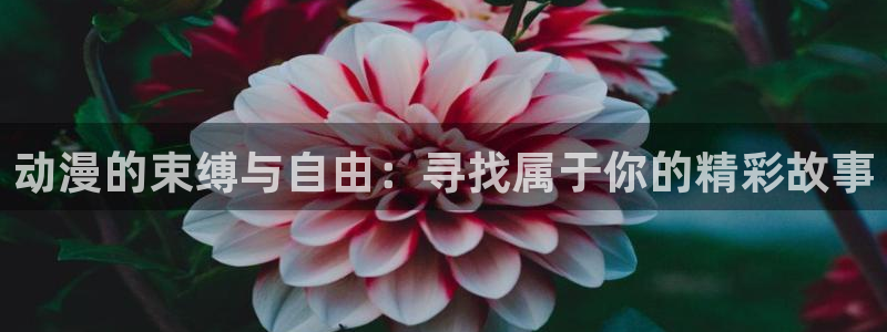 www.动漫天堂：动漫的束缚与自由：寻找属于你的精彩故事