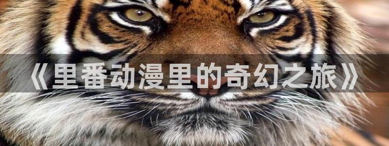 av动漫天堂网：《里番动漫里的奇幻之旅》