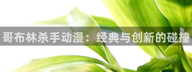 动漫天堂官网：哥布林杀手动漫：经典与创新的碰撞